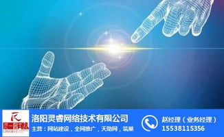 洛陽(yáng)網(wǎng)站開(kāi)發(fā)與裝修網(wǎng)站開(kāi)發(fā)互聯(lián)網(wǎng)銷售費(fèi)用解析